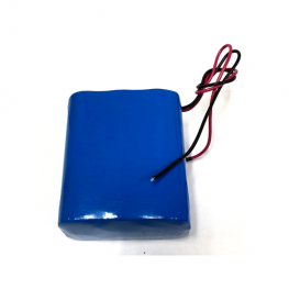  Lithium ion battery