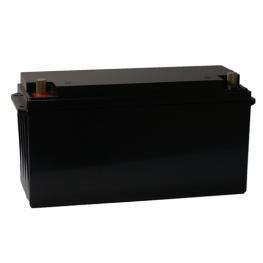 LiFePO4 battery